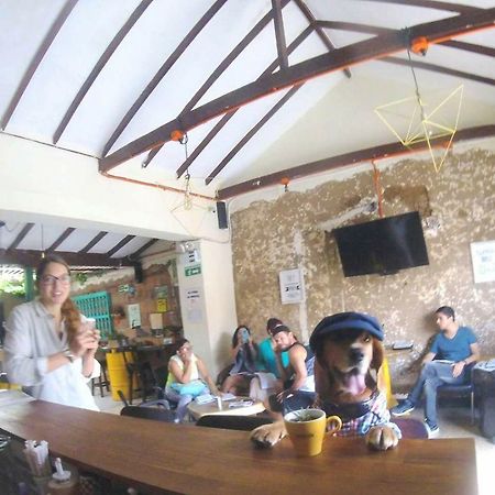 Panela Medellin Hostel Zewnętrze zdjęcie