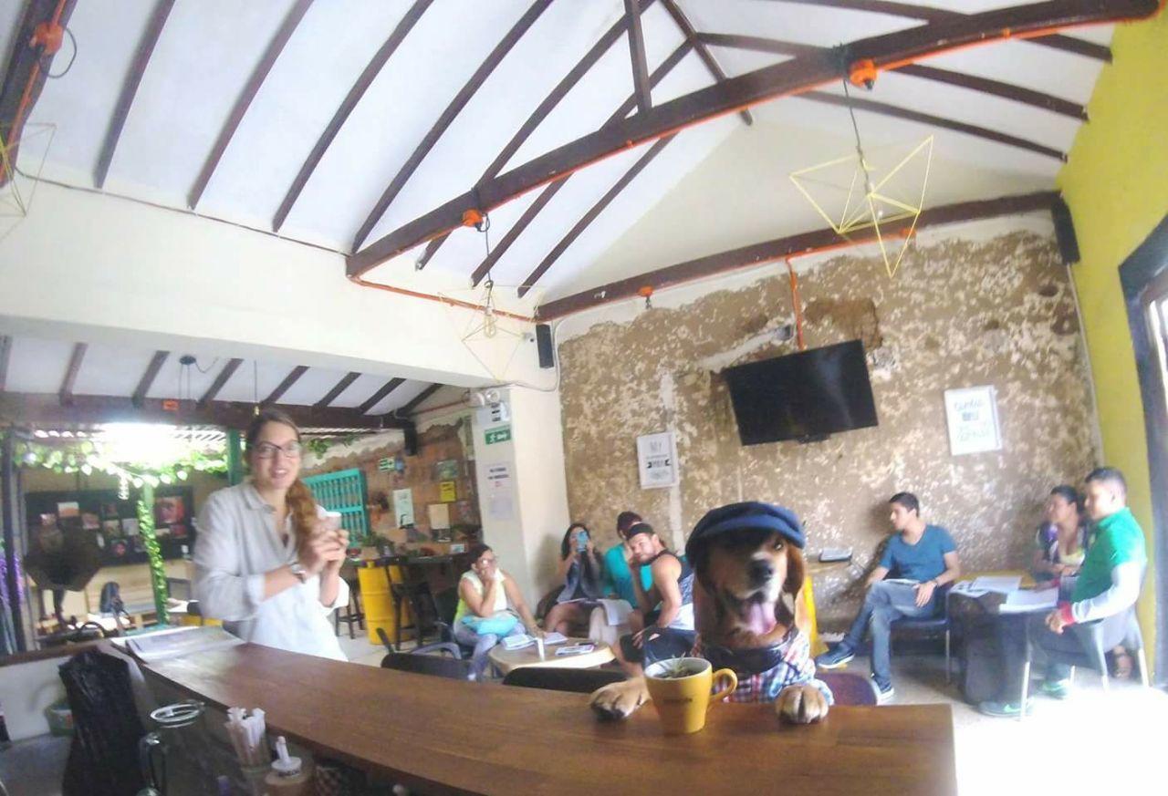 Panela Medellin Hostel Zewnętrze zdjęcie